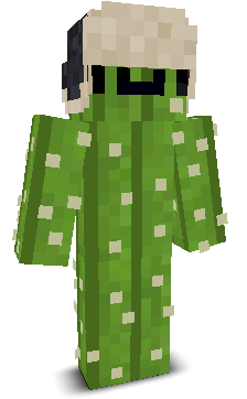 User's Minecraft appearance
