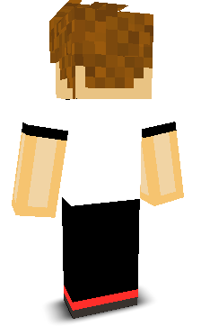 User's Minecraft appearance