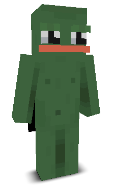 User's Minecraft appearance