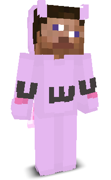 User's Minecraft appearance