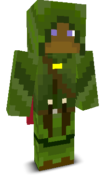 User's Minecraft appearance