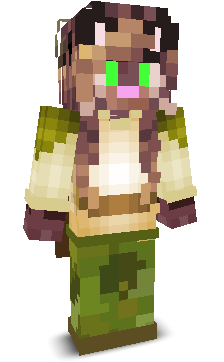 User's Minecraft appearance