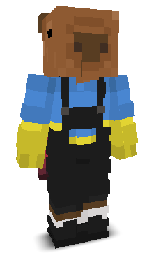 User's Minecraft appearance