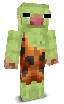 User's Minecraft appearance