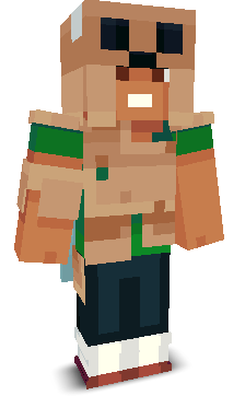 User's Minecraft appearance