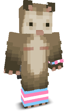 User's Minecraft appearance