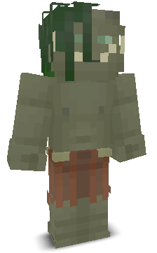 User's Minecraft appearance