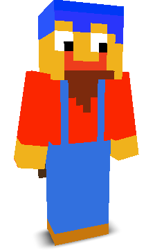 User's Minecraft appearance