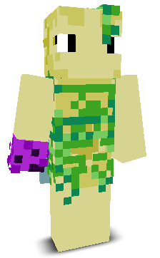 User's Minecraft appearance