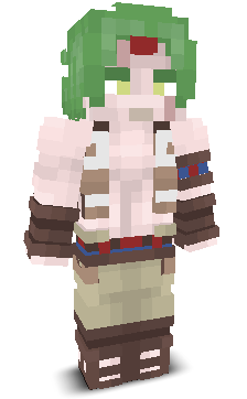 User's Minecraft appearance