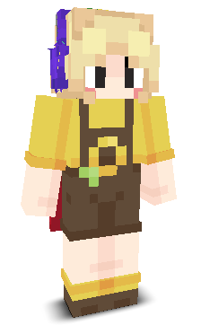 User's Minecraft appearance