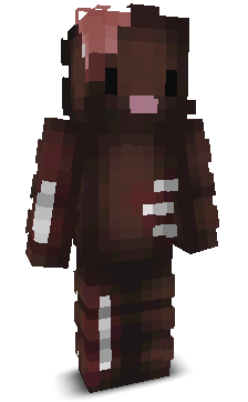User's Minecraft appearance