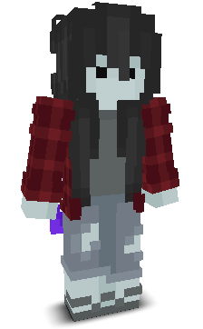 User's Minecraft appearance