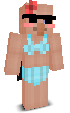 User's Minecraft appearance
