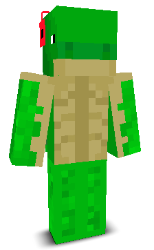 User's Minecraft appearance