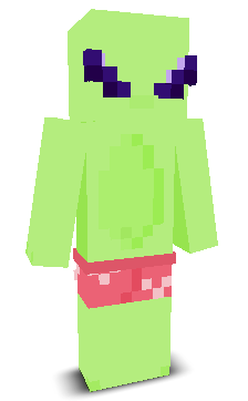 User's Minecraft appearance