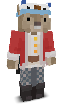 User's Minecraft appearance