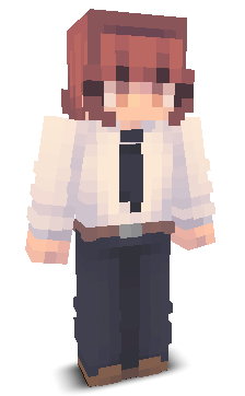 User's Minecraft appearance