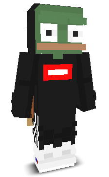User's Minecraft appearance