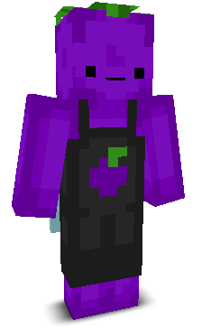 User's Minecraft appearance