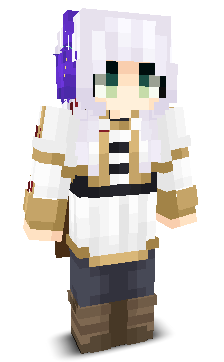 User's Minecraft appearance
