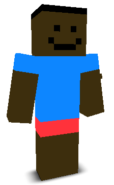 User's Minecraft appearance