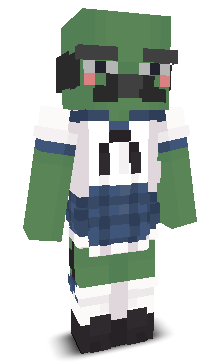 User's Minecraft appearance