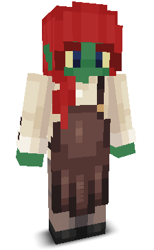 User's Minecraft appearance