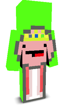 User's Minecraft appearance