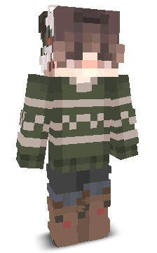 User's Minecraft appearance