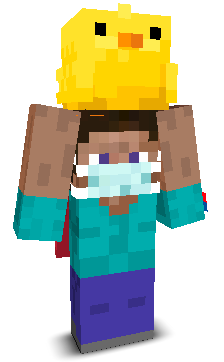 User's Minecraft appearance
