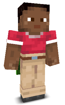 User's Minecraft appearance