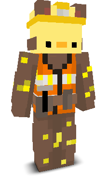 User's Minecraft appearance