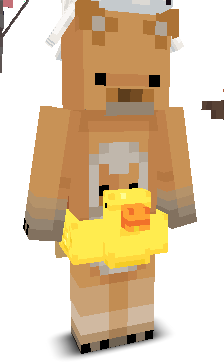 User's Minecraft appearance