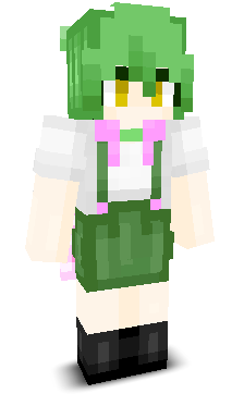 User's Minecraft appearance