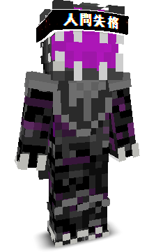 User's Minecraft appearance