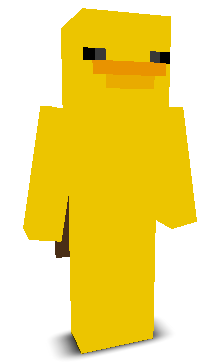 User's Minecraft appearance