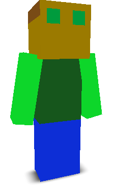 User's Minecraft appearance