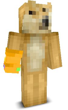 User's Minecraft appearance