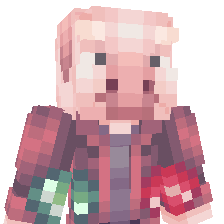 _L1s skin