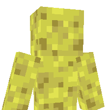 droogle