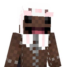 PACKV