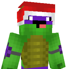 DerpyTurtle6 Minecraft skin bust
