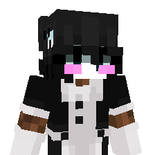 NZME_ Minecraft skin