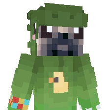 puggachin