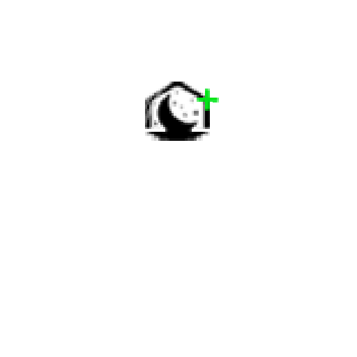 Lunar+ Bandanna (White & Black)
