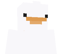 TheGooseKid's skin