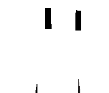 Monnteray's skin