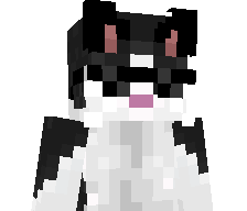 CxJNX_Mk's skin
