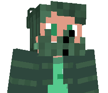 TeMi1K's skin